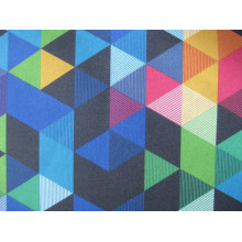 Oxford 600d Prism Printing Polyester Fabric (DS1050)